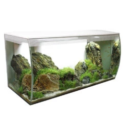 FLUVAL FLEX AQUARIUM ZOETWATERKIT 123L - 82x40x39cm Wit