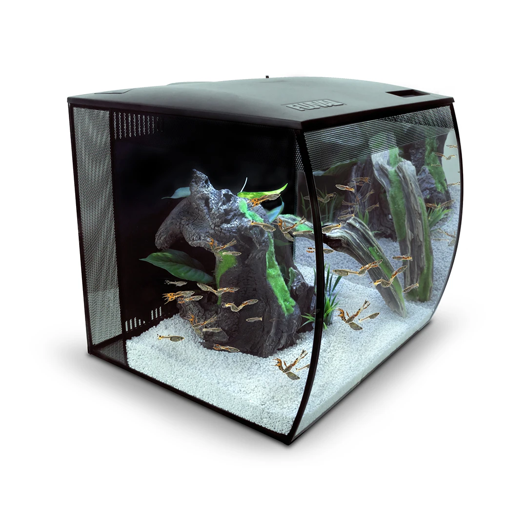 FLUVAL FLEX AQUARIUM ZOETWATERKIT 57L - 41x39x39cm Zwart 1 FLUVAL FLEX AQUARIUM ZOETWATERKIT 57L - 41x39x39cm Zwart