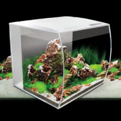 FLUVAL FLEX AQUARIUM ZOETWATERKIT 34L - 35x33x33cm Zwart