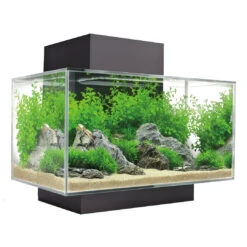 FLUVAL EDGE I 2.0 AQUARIUMKIT 23L - 43x26x35,5cm Zwart
