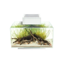 FLUVAL EDGE I 2.0 AQUARIUMKIT 23L 43x26x36cm Wit