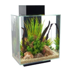 FLUVAL EDGE II 2.0 AQUARIUMKIT 46L - 43x26x58cm Zwart