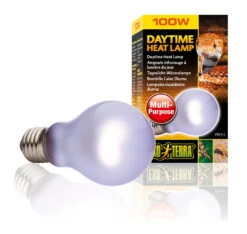 EX DAGLICHT WARMTELAMP SG A19 100W - 6x6x10cm