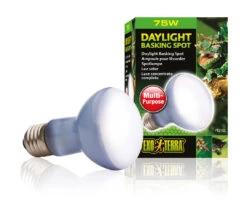 EX DAGLICHT WARMTESPOT R20 75W - 6,5x6,5x10cm