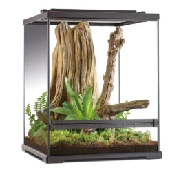 EX Frog Boomkikker Terrarium 60x45x45cm Zwart