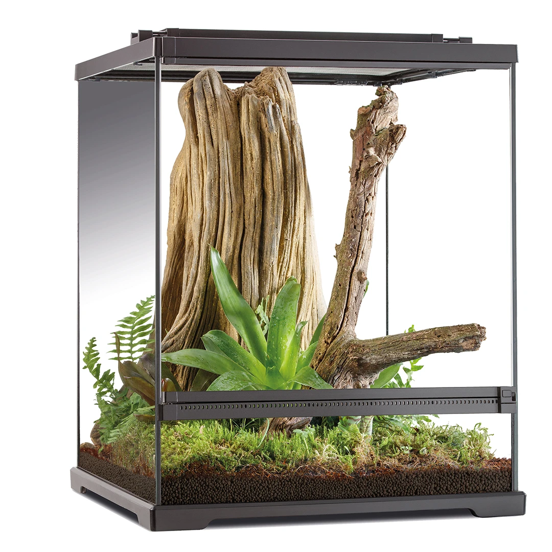 EX Frog Boomkikker Terrarium 60x45x45cm Zwart 1 EX Frog Boomkikker Terrarium 60x45x45cm Zwart