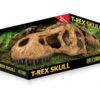 EX T-REX SKULL FOSSIELE SCHUILPLAATS 14,5x25,5x12,5cm