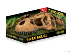 EX T-REX SKULL FOSSIELE SCHUILPLAATS 14,5x25,5x12,5cm