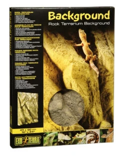 EX ACHTERWAND STEENMOTIEF VOOR TERARRIA 45x60CM