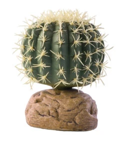 EX CYLINDER CACTUS S - 7x7x9,5cm