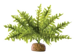 EX BOSTON VAREN S - 6,5x5x21cm