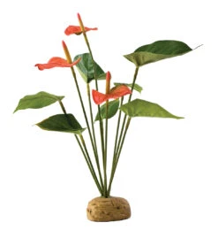 EX FLAMINGOBLOEM 6,5x5x29cm