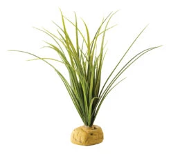 EX TURTLE GRASS 6,5x5x28,5cm