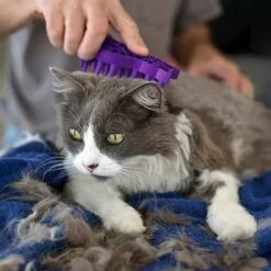 KONG Cat Zoom Groom 11x7x3cm Paars