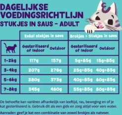 Karton : Multipack - Brokjes In Saus Voor Volwassen Katten 6x(8x85g) -Hond | Kat Winkel 1200x11371