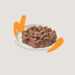 Karton : Multipack Paté Voor Volwassen Katten 4x (8x85g) -Hond | Kat Winkel 1200x12001 2