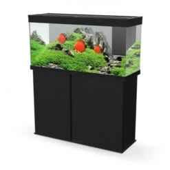 Ciano Aquarium Emotions Nature Pro 120 NEW 121,2x40,2x61cm Zwart -Hond | Kat Winkel 12 1 4.600