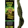 EX MOSS VINE BUIGZAME LIAAN L - 2,5x11x51cm