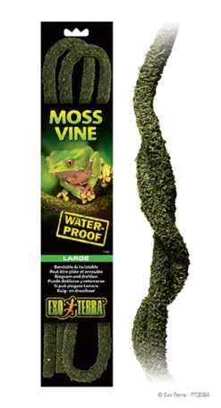 EX MOSS VINE BUIGZAME LIAAN L - 2,5x11x51cm