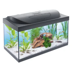 TETRA AQUARIUM STARTER LINE LED 54L 60x30x30cm