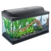 Tetra AQUARIUM STARTER LINE LED 105L 76x48x37cm