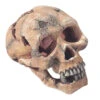 SKULL L - 15CM