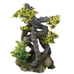 TWIST BONSAI 11x11x17,5CM