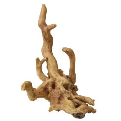 COFFEE ROOT 1 30x22x32CM Bruin