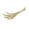 SKELET HAND 26,8x9,4x4,5CM