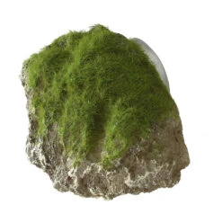 MOSS STONE WITH SUCTION CUP S - 12x9,5x10,5CM