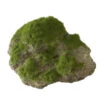 MOSS STONE WITH SUCTION CUP M - 16x11x11CM
