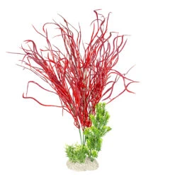 PLANT LILY GRASS XL - Height 50CM Gemengde Kleuren