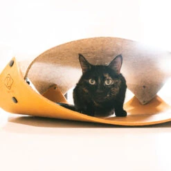 Lobke Katten Speeltunnel 57x20cm Meerkleurig -Hond | Kat Winkel 4047059469842 sc3 webl1