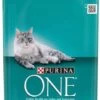 One Bifensis Coat & Hairball Rijk Aan Kip En Volkoren Granen 1,5KG