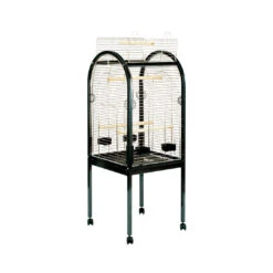 JUNIOR PAPEGAAIKOOI CHROME 55x55x130cm Zwart