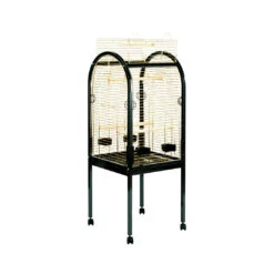 JUNIOR PAPEGAAIKOOI GOUD 55x55x130cm Zwart