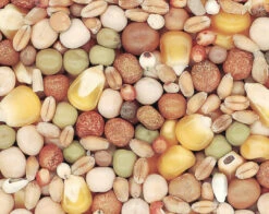 KWEEK SPORT DUVO-DECO P30 25KG