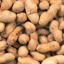 ARACHIDENOTEN ONGEPELD P50 10KG