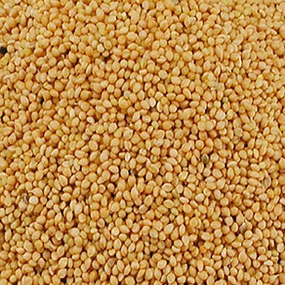 PANIS GEEL 20KG 1 PANIS GEEL 20KG