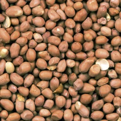 ARACHIDENOTEN GEPELD EXTRA 5KG