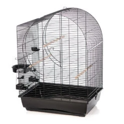 Kooi Elizabeth Zwart/zwart 54x39x74cm