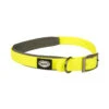 EXPLOR South Halsband PVC XL 40-65cm/25mm Neon Geel