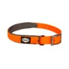 EXPLOR South Halsband PVC XL 40-65cm/25mm Neon Oranje