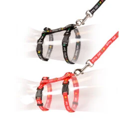 KAT WANDELSET KITTY CAT 20-35cm / 10mm - 125cm Gemengde Kleuren