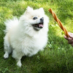 Doos : Garden Bites Fruity Dental Swirls S 324 Stuks - 13cm - 7,8g -Hond | Kat Winkel 5414365365349 sc1 webl1