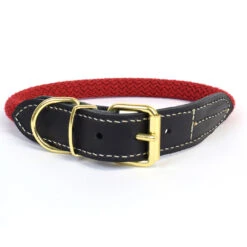 EXPLOR Forest Halsband Nylon L - 51-59cm/14mm Rood