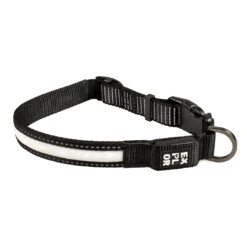 EXPLOR City Paris Halsband LED Nylon L - 40-55cm/25mm Zwart