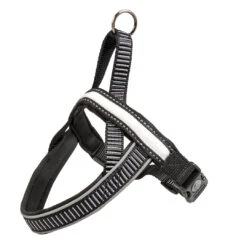 EXPLOR City Paris Harnas LED Nylon L - 58-65cm/25mm Zwart