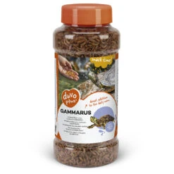 Gammarus 1L