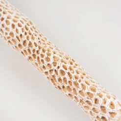 Cactus Vogelzitstok Bruin XL - 42x4,2x4,2cm -Hond | Kat Winkel 5414365416065 dt1 webl1